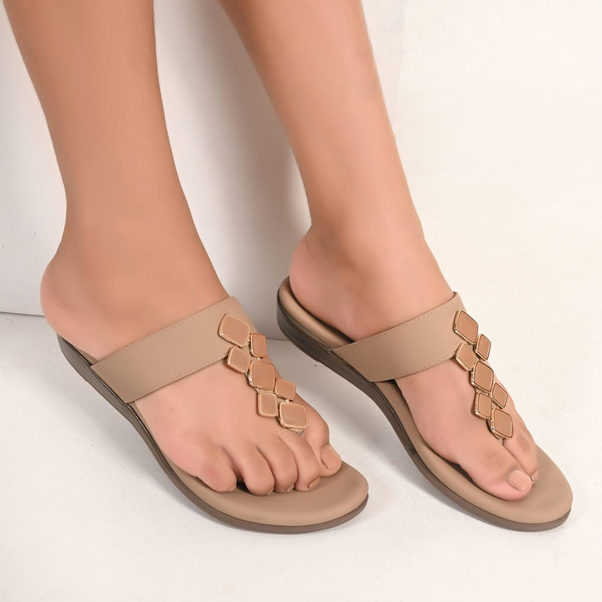 Rani Flats